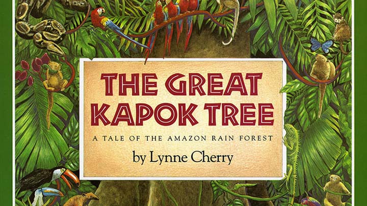 the great kapok tree amazon